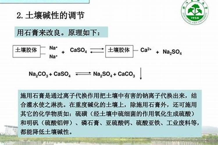 钙肥有哪些