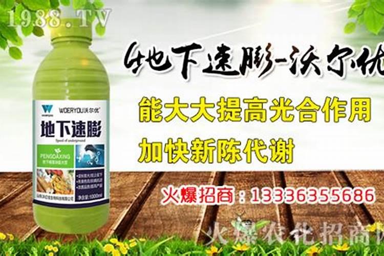 怎么样才能让红薯长得更好(红薯高产种植与栽培技术)
