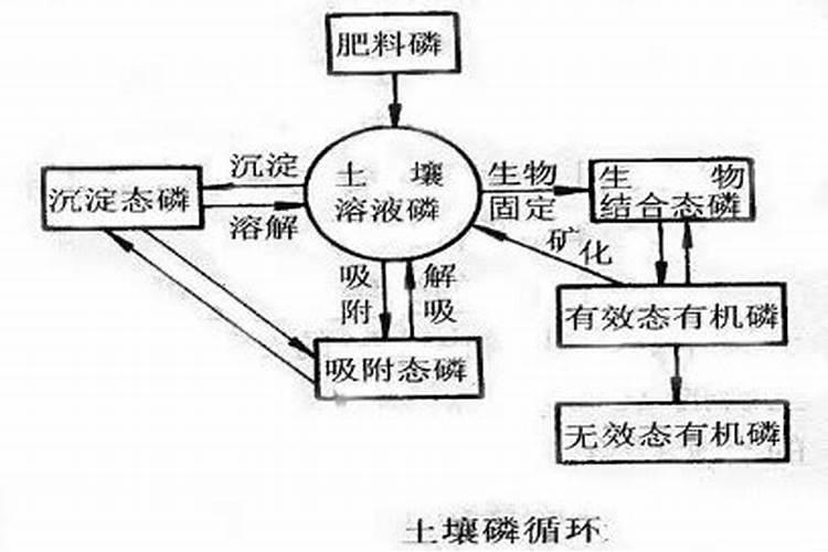 钾肥能撒在表面上吗