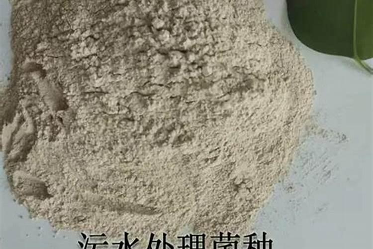 鱼塘增肥用哪几种肥料