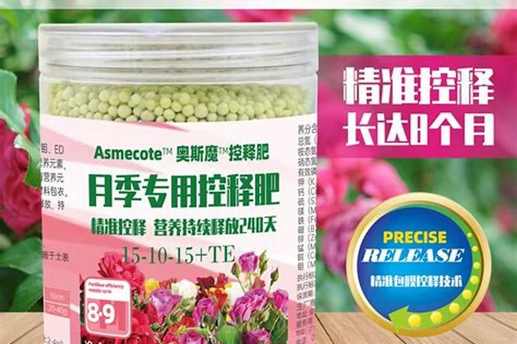 用什么肥好 玫瑰施肥方法