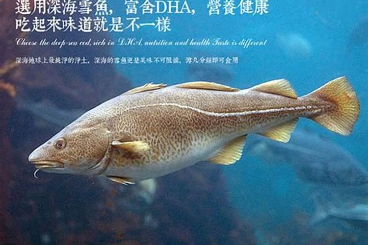 栽香蕉基底肥怎么下？