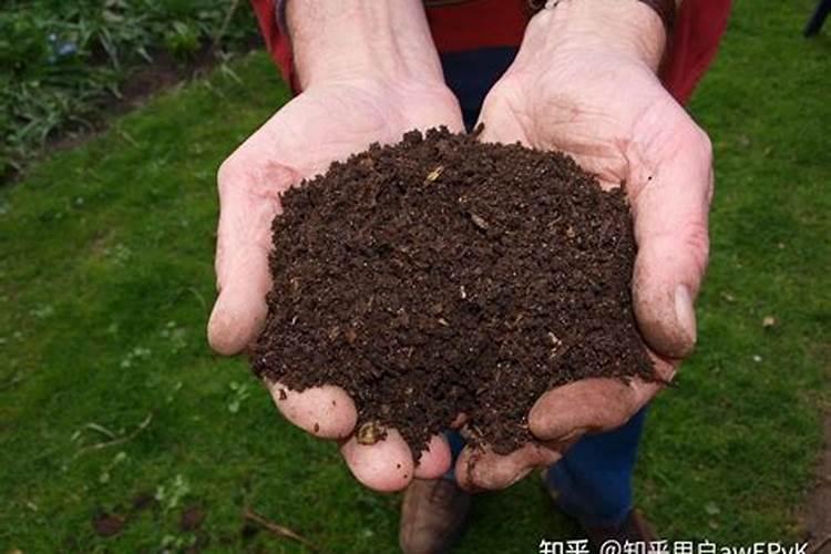 有机肥给植物提供什么