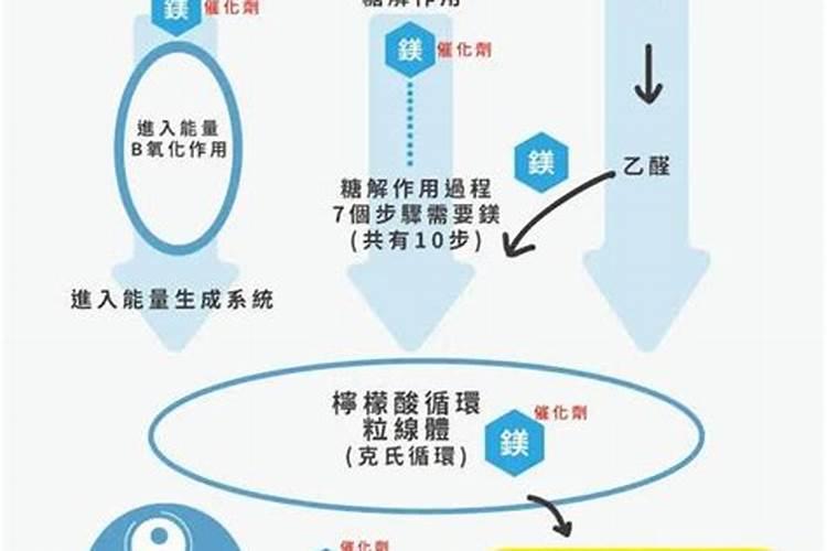 青虾养殖施肥应遵循什么原则？如何施用？