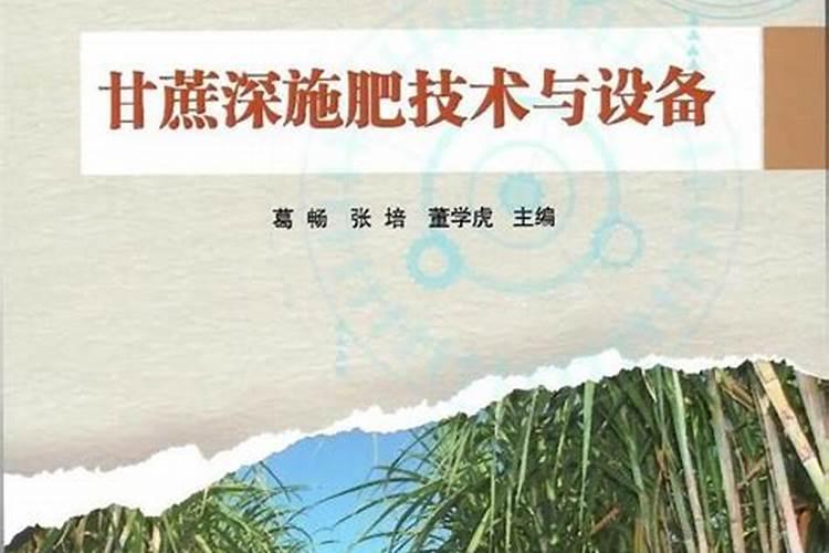 豆角上的钻心虫用什么农药打管用