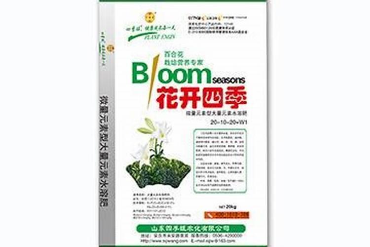 假酸浆和灯笼果的区别