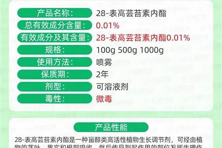 鹿角蕨怎么养 鹿角蕨如何养