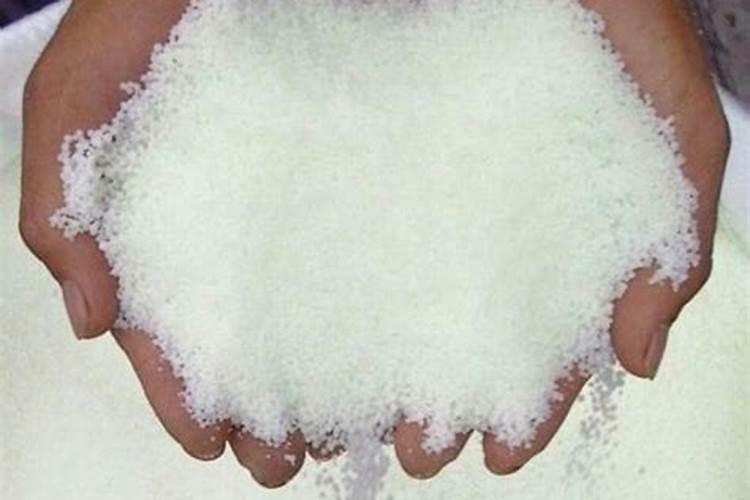 铁树用什么肥料