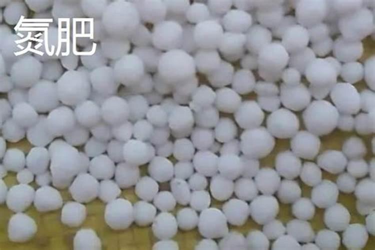 杀菌剂的有什么基本含义？