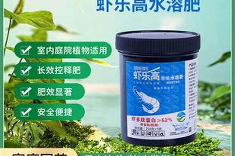 梅花根部腐烂怎么补救？