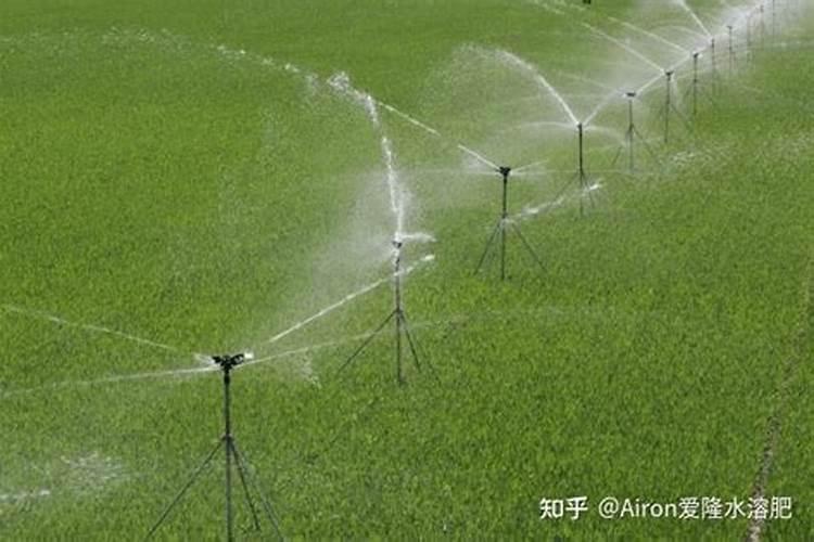 水溶肥可以撒施吗