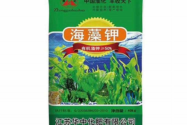 做肥料带写作文