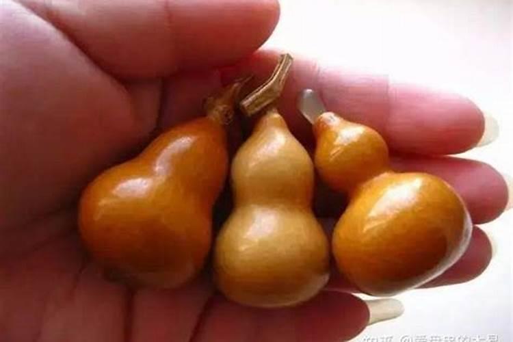 手捻葫芦的种植方法和管理