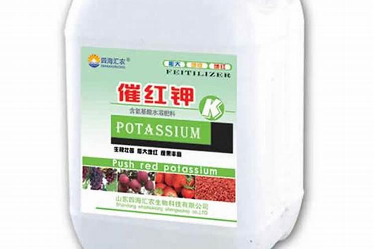 现在辣椒是不是应该喷催红的药了