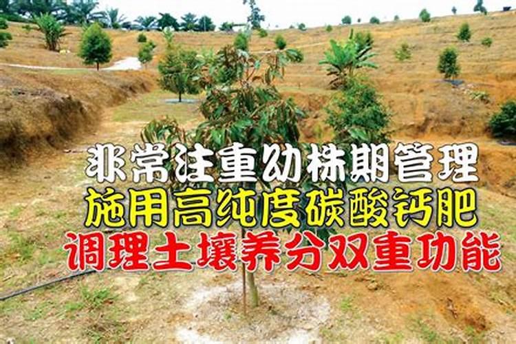 无机肥的种类,优点及使用注意事项有哪些