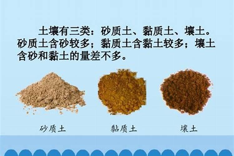 有哪些是磷肥