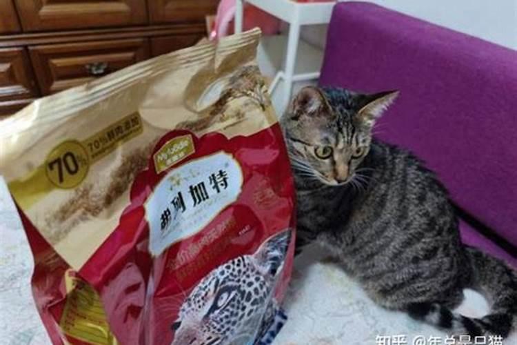 喂金鱼用哪种饲料好？