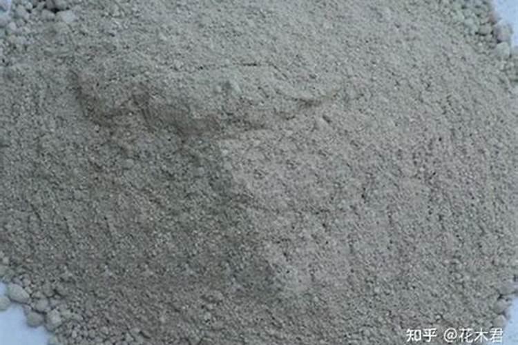 对节白蜡叶子卷是怎么了？