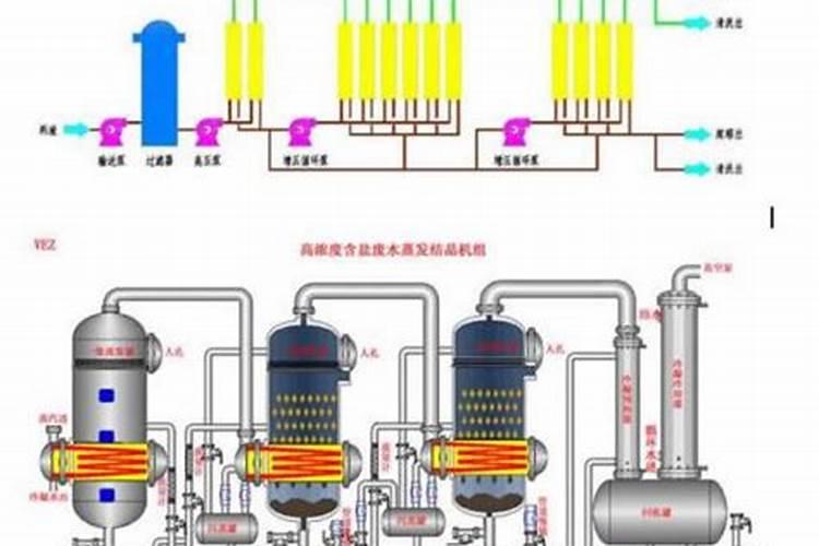 茶苗浇水多好,还是少好？