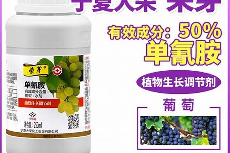 葡萄树不发芽是怎么回事