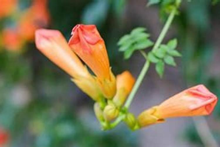 西安新城区东风坊小区水费多少钱一吨