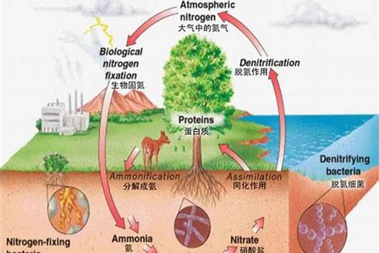 透明和果子配方以及做法 透明和果子配方