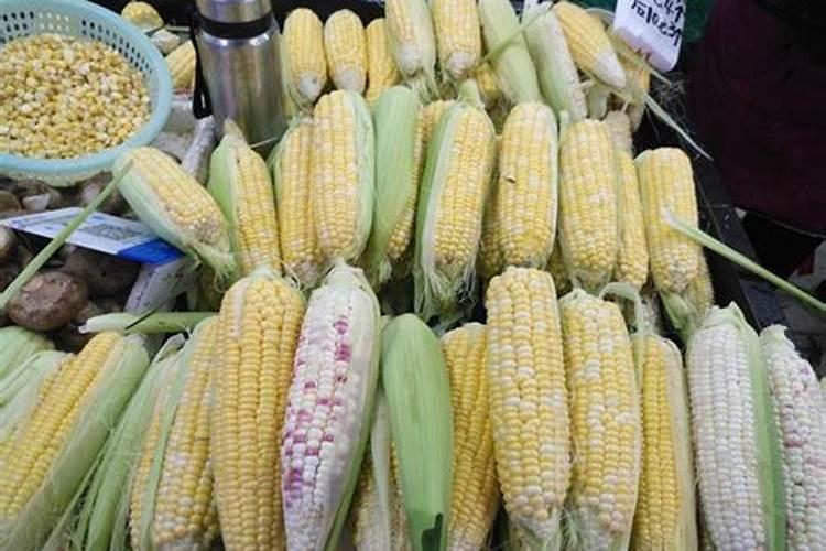 玉米喷叶面肥有用吗