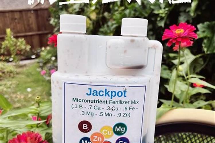 花卉肥料通用花肥 月季花最好的肥料