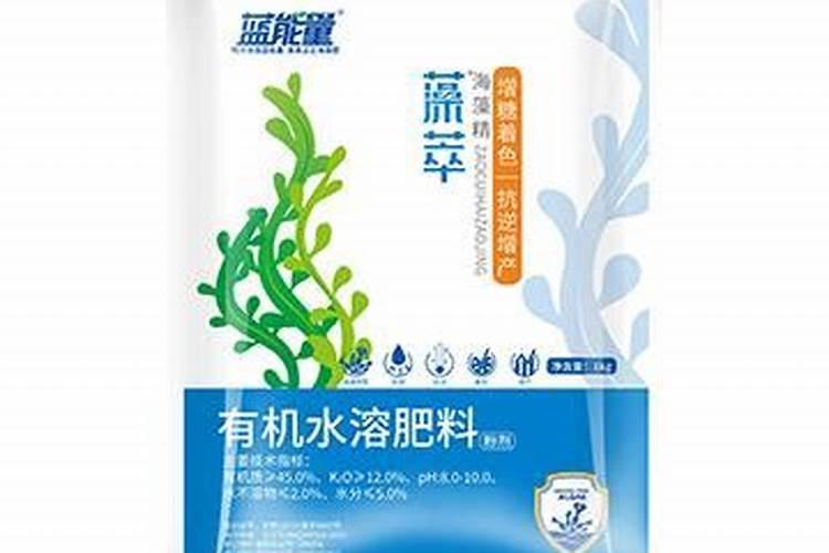 什么是海藻肥