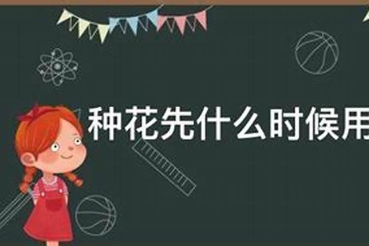 种花水里放点什么