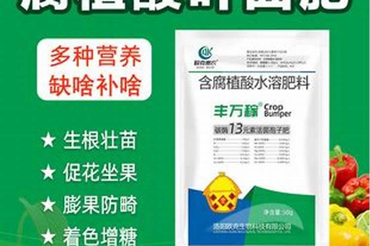 碳氮氧氢组成的化合物