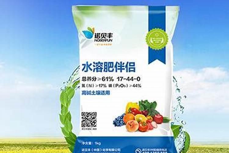 史莱姆不凝固怎么办