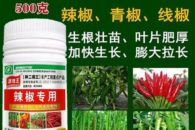 青椒用什么肥料最好