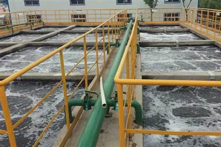 蔬菜缺磷有什么特征？如何诊断？