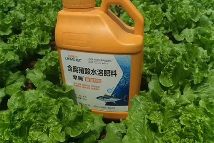 不需要打农药的蔬菜有哪些？请大家远离农药残留？