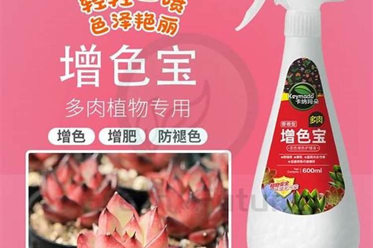 多肉植物能喷磷钾肥吗