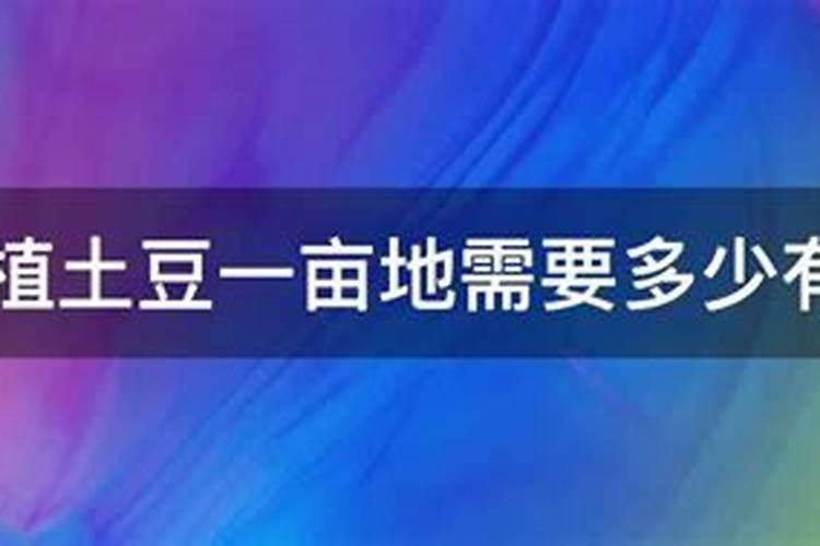 胶东种土豆的最佳时间 胶东种土豆的什么时候最好