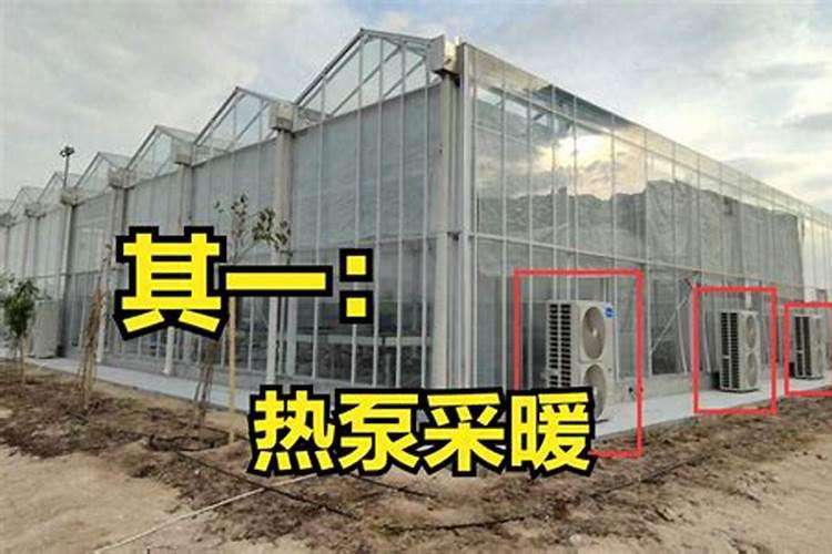 大棚蔬菜应该用什么肥料？