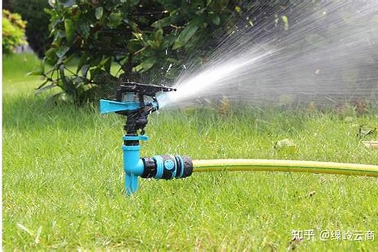 北方封冻水浇灌最佳时间为