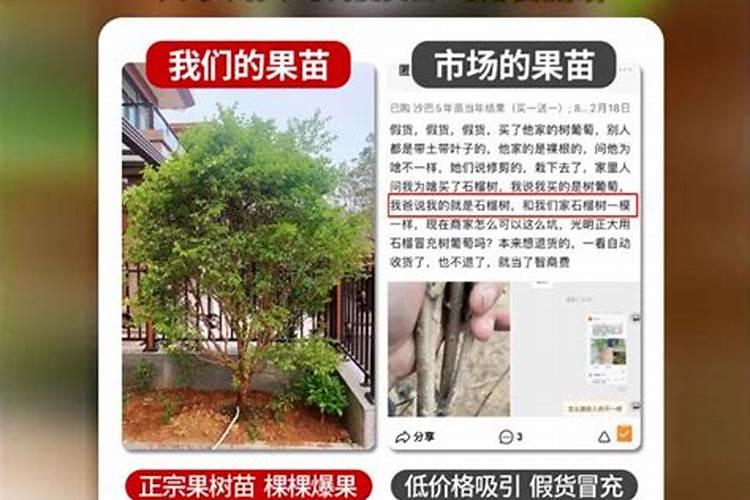 鱼蛋白放多了会烧根吗