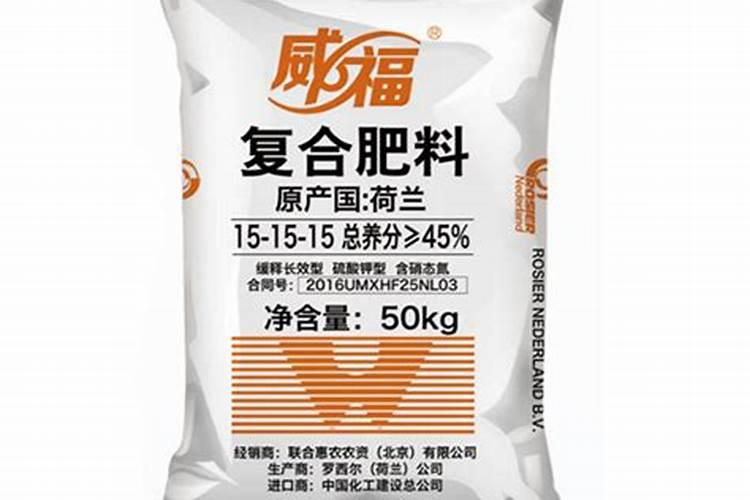 夏季虎皮兰怎么施肥有效方便