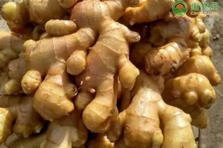 生姜什么时候追肥合适