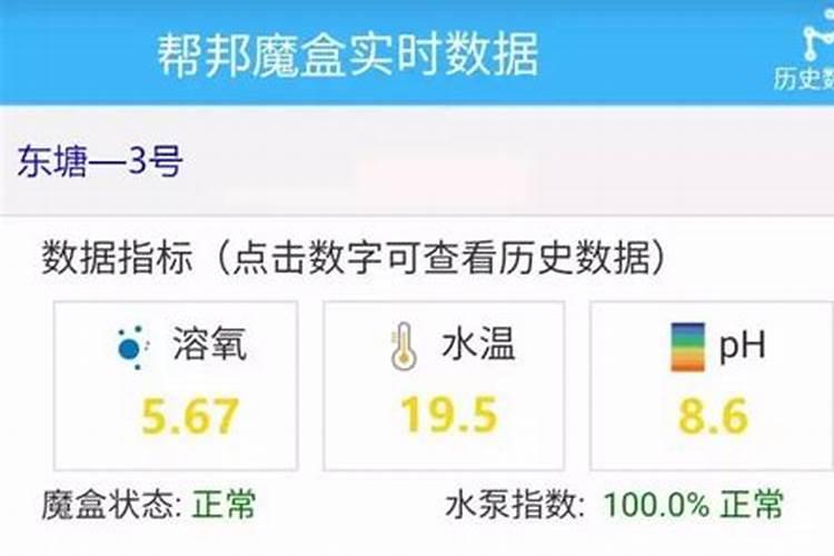 鱼缸水发绿是什么原因