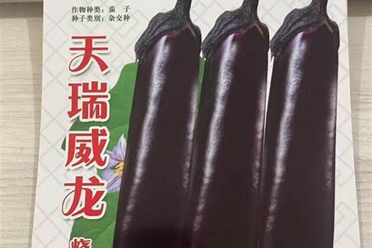 番茄膨果叶面肥效果最好的是哪种