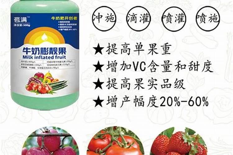 种番茄用什么肥料最好