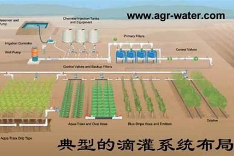 如何使用滴管施肥技术