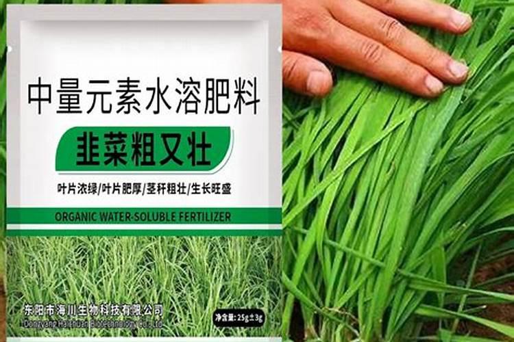 韭菜用什么肥料长得又肥又壮(用什么肥料叶子又粗又黑)