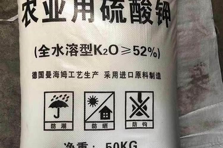 芸苔素内酯打黄豆