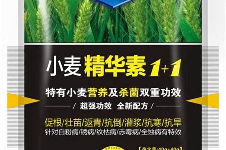 磷酸二氢钾肥料作用是什么