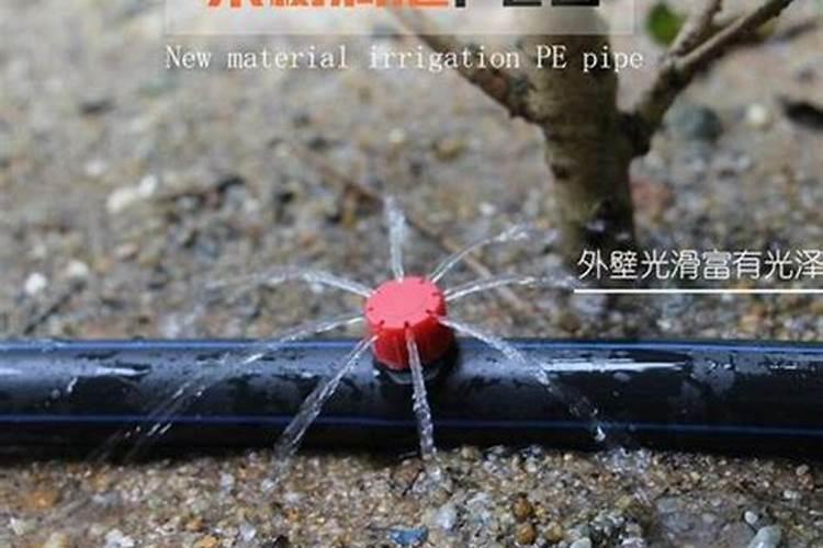 尿素当叶面肥使用方法